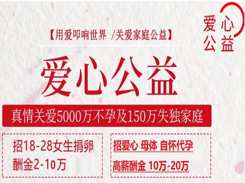定结捐卵助孕生子 爱心志愿者招募